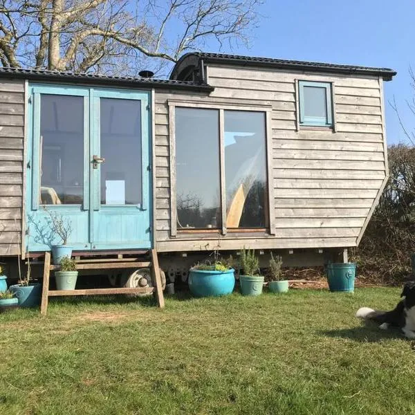 Secluded Shepherds Hut, with a view and hot tub, hotel in Ashburton