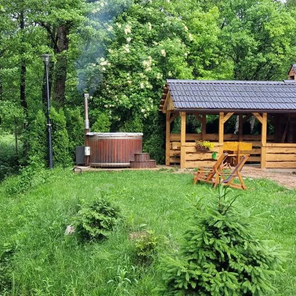 Vrelo Koreničko에 위치한 호텔 Vodenica Vrelo Chalets