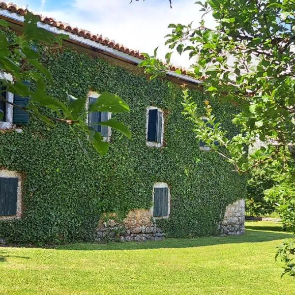 Old house Nilovic, hotel i Livari