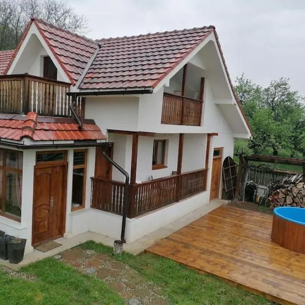 CasAndi, hotel v destinaci Cireşu