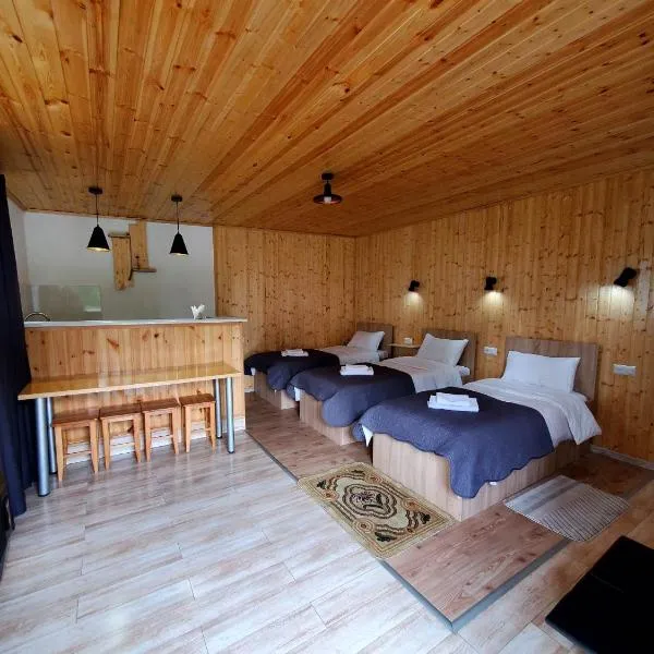 Cozy apartament, hotel v destinaci Stepancminda