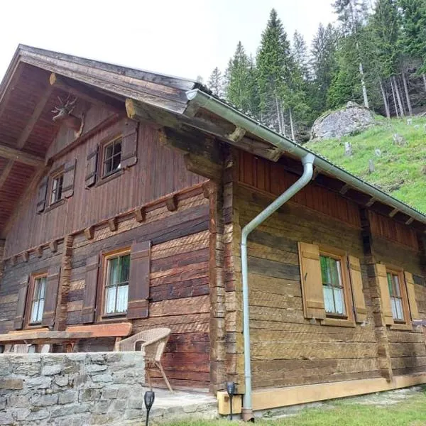 Siegel Almhütte, hotel v destinaci Zederhaus