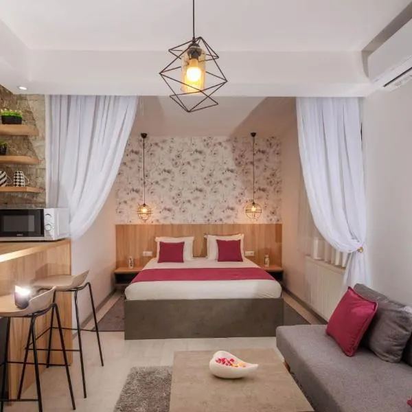 Villa Elena, Hotel in Grabovac