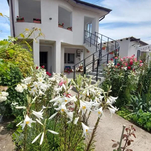 3M Vila, hotel v destinaci 2 Mai