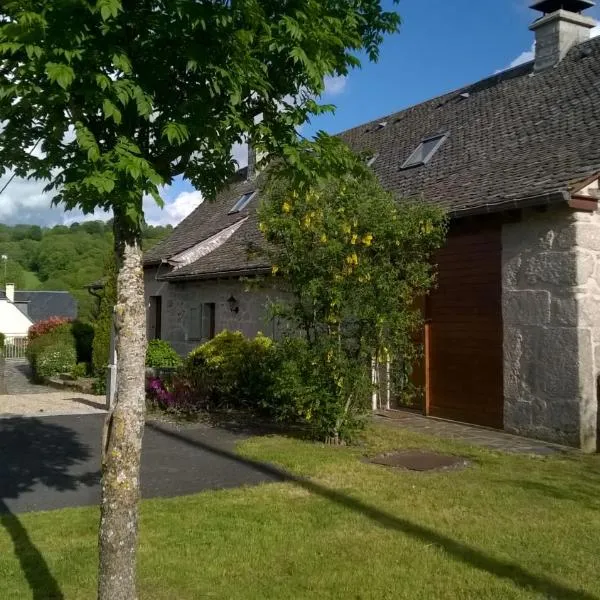 Appart'Aubrac, hôtel à Banes