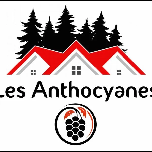 LES ANTHOCYANES，Pont-dʼHéry的飯店