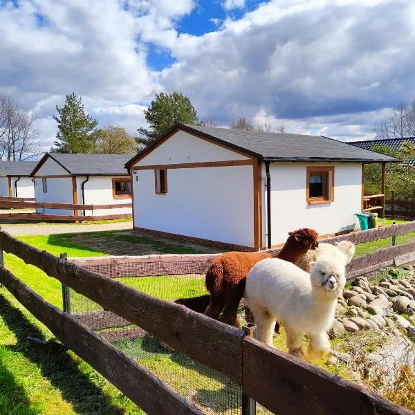 Domek na Słonecznikowej、フミエルノのホテル