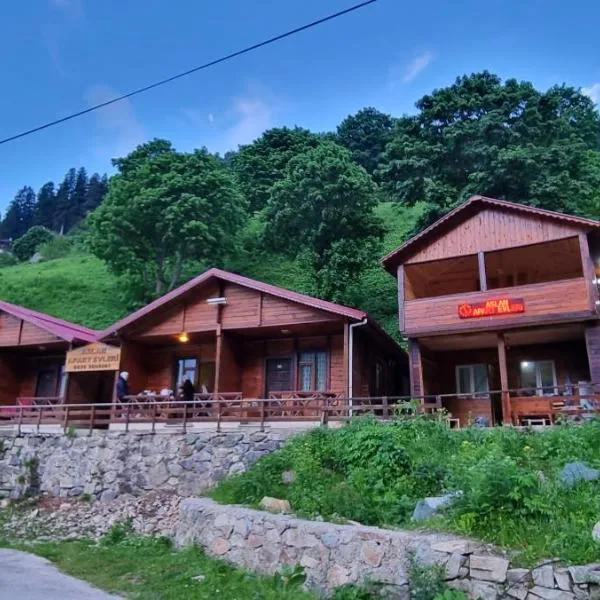 Aslan Apart Evleri, отель в городе Meşe
