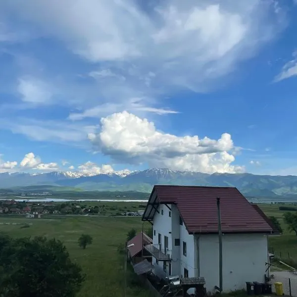 Pensiunea Iza, hotell i Turnu Roşu