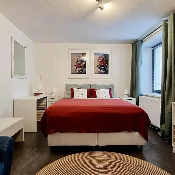 Apartmán Zlatý kříž, hotel v Písku