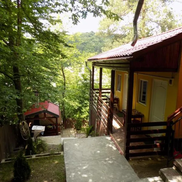 Hegyi-lak vendégház，普列德的飯店