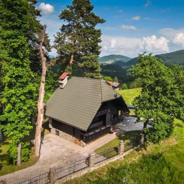 VILA HELENA, hotel in Velenje