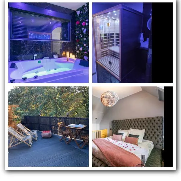 Sauna, jacuzzi, terrasse et parking, hotel in Rouen
