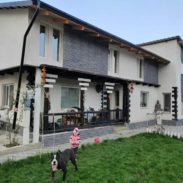 “ Casa SARYL “ Târgu Ocna: Tîrgu Ocna şehrinde bir otel