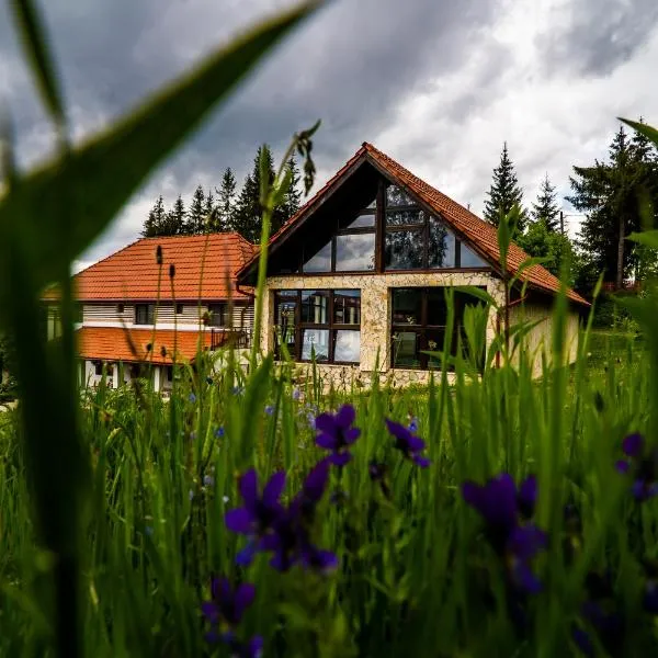 Pensiunea Romconcord, hotel in Răchiţele