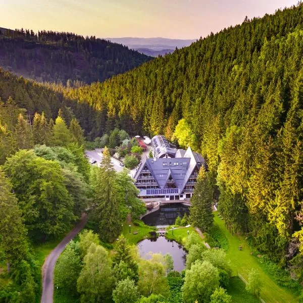 Jelenia Struga MEDICAL SPA, hotel v destinácii Kowary