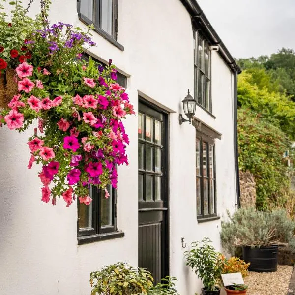 Woodview - cosy 1840s cottage in Chew Valley and Mendip AONB, hotel in Compton Martin