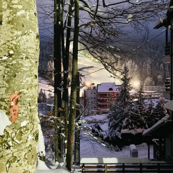 Studio Mirage@Snow Residence (ski & forest), מלון באזוגה