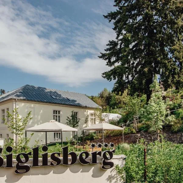 Boutique Hotel Siglisberg, hotel in Sebechleby