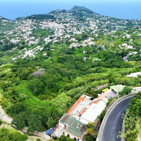Villa Gesualda, ξενοδοχείο στην Ίσκια