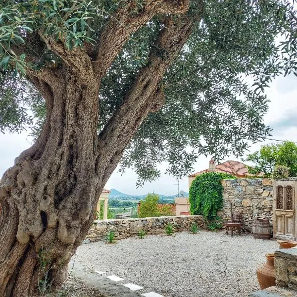 Calma Estate: Elevtheraí şehrinde bir otel