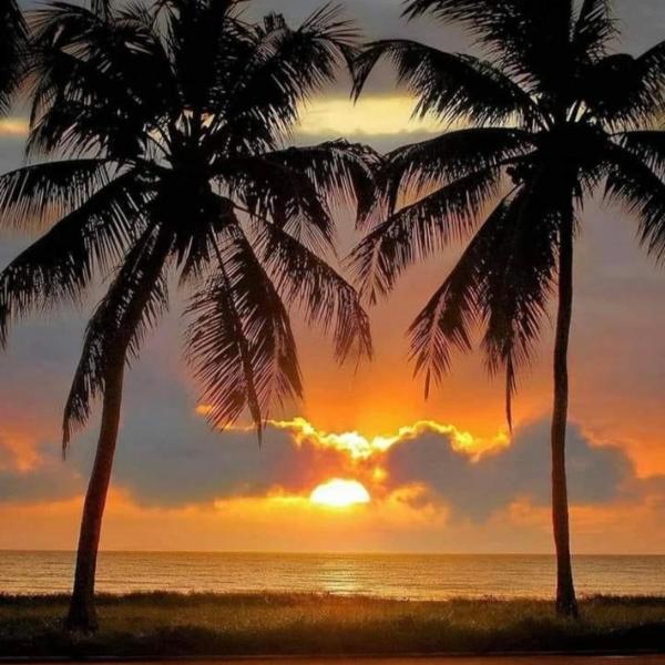 Flat Beira Mar Oka beach residence luxo Muro Alto - Porto de Galinhas