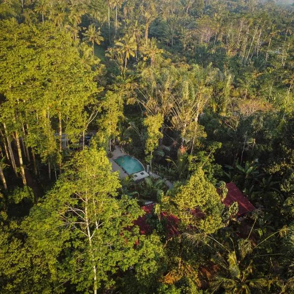 Daydream Lodge, hotel v destinaci Tampaksiring