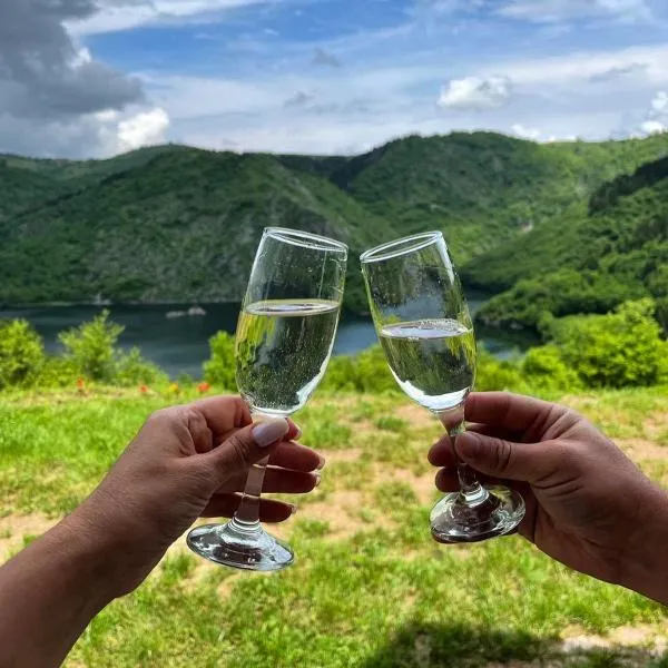 Brvnare Puljci, hotel v destinaci Nova Varoš