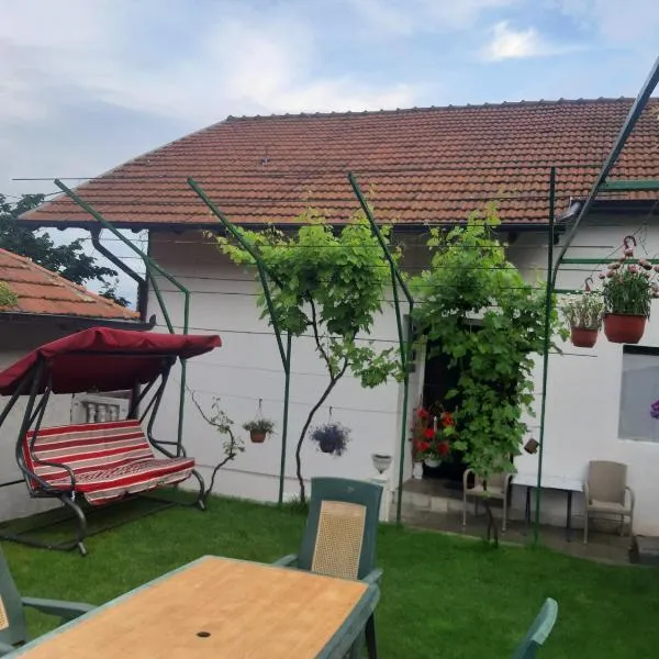 Vila Mir, hotel v destinaci Pirot