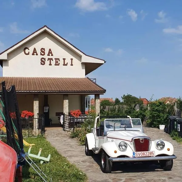 Pensiunea Casa Steli, hotel di Haieu