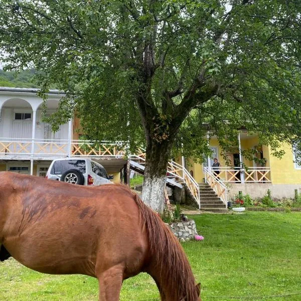 Guest House Balda, hotel in Taleri