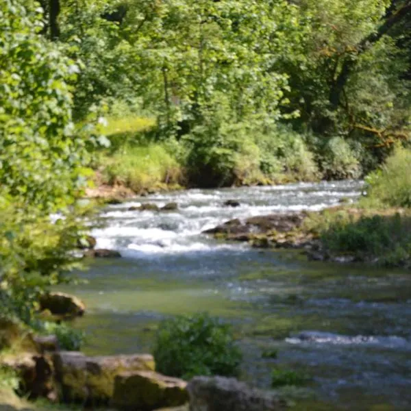 Moulin de la Cuse - Chambre La Cuse, hotel in Vellerot-lès-Vercel