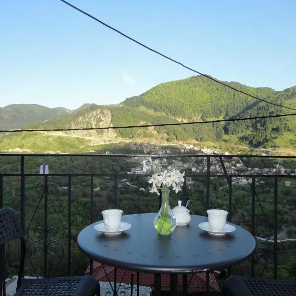Baou House 1, hotel in Metsovo