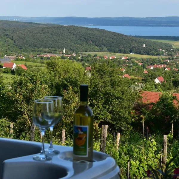 Panoráma Borbirtok, hotel din Mencshely