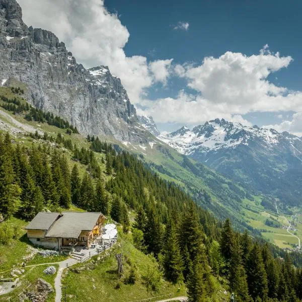 Tälli Hütte，Guttannen的飯店