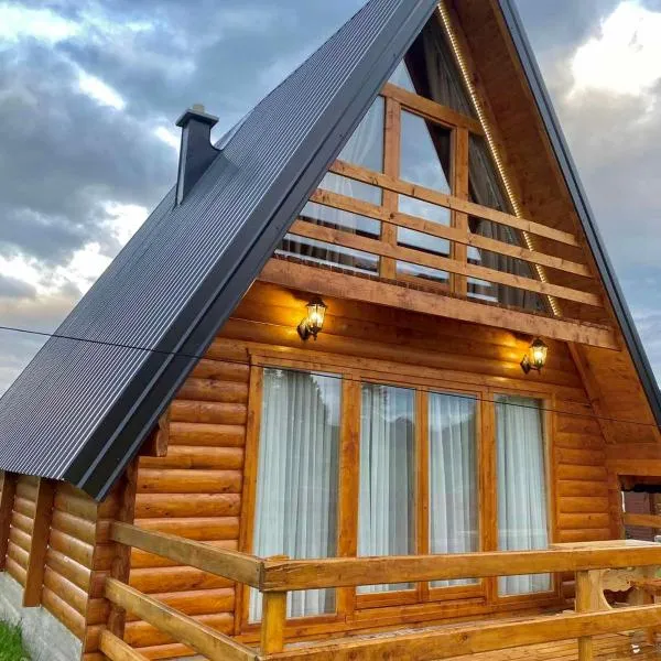 Villa Wood Borje, khách sạn ở Žabljak