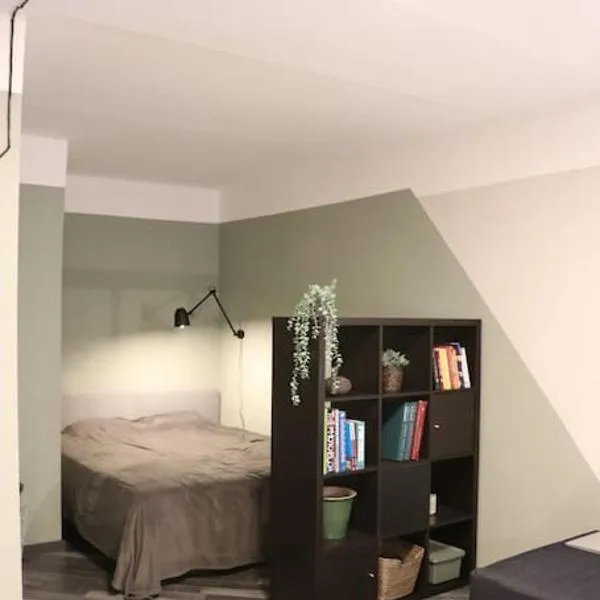 Dzīvoklis ar skatu pār Alūksni, hotel in Alūksne