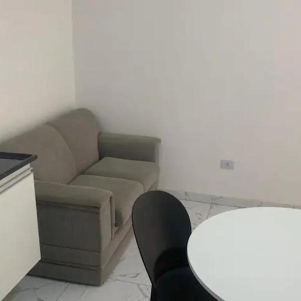 SP apartamento 1 dormitório