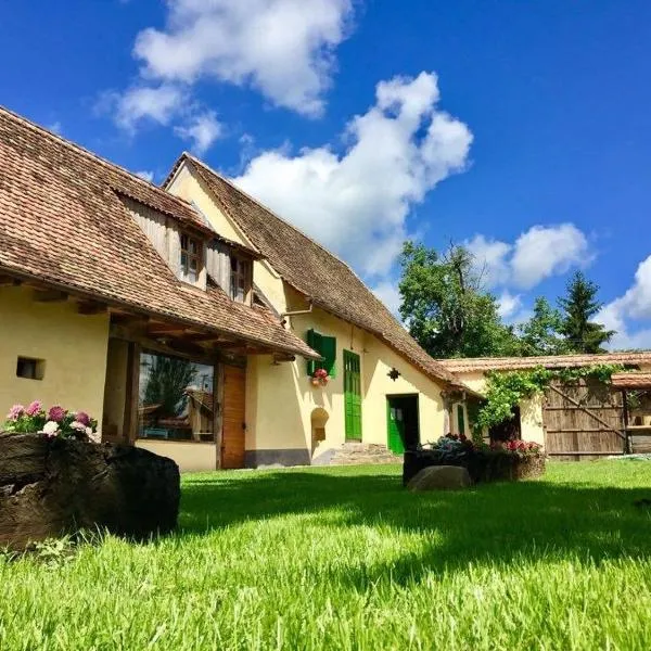 Verde de Viscri, Hotel in Viscri