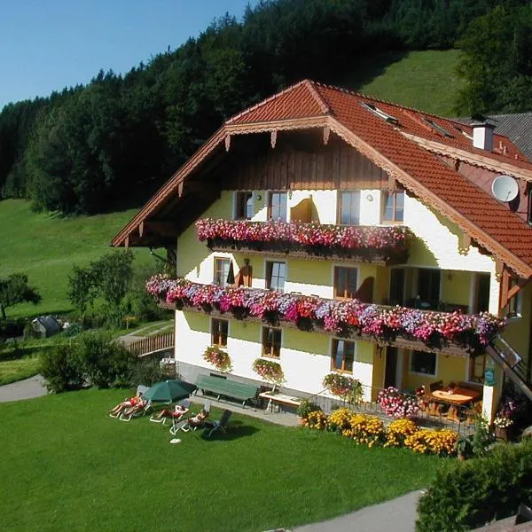 Gesundheitshof Lohninger, hotel Mondsee
