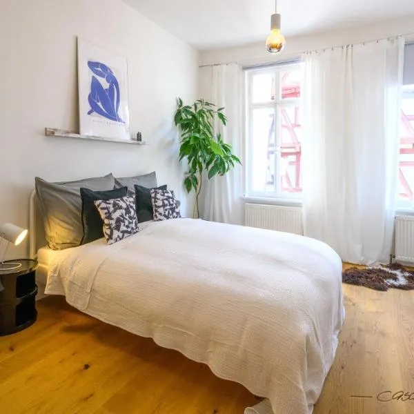 Casa Wimpina - geschmackvolles Appartement im Herzen der Altstadt, hotel in Bad Wimpfen