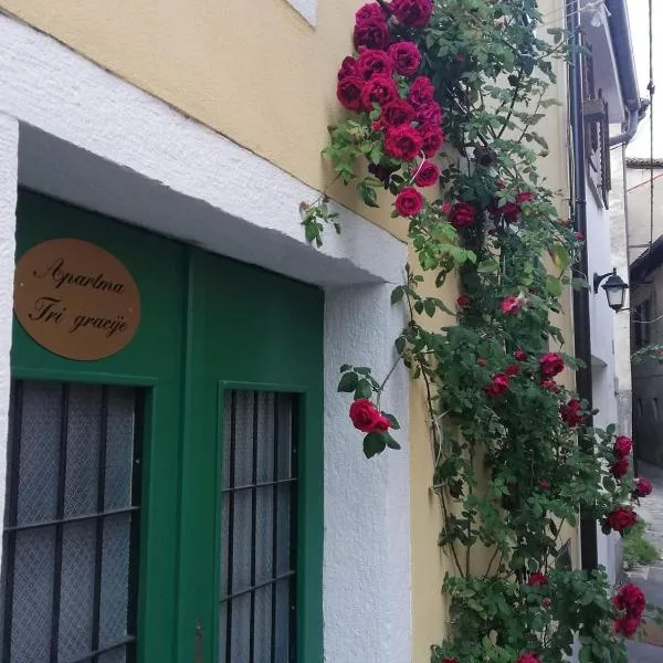 3 Gracije, hotel a Capodistria