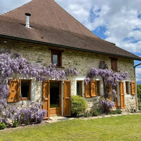 La maison des commis, hotel in Faverges-de-Mépieu