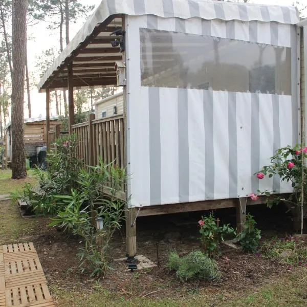 MH481 spatieux 8pers - BRUME, hotel v destinaci Saint-Julien-en-Born