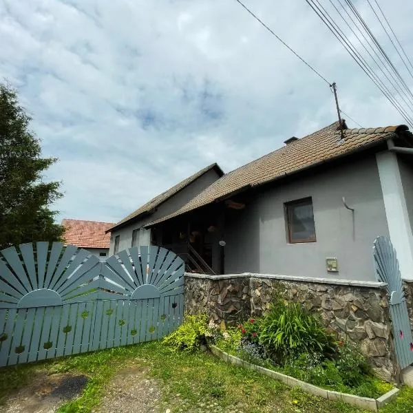 Casa de oaspeți Cristina, hotel en Bancu