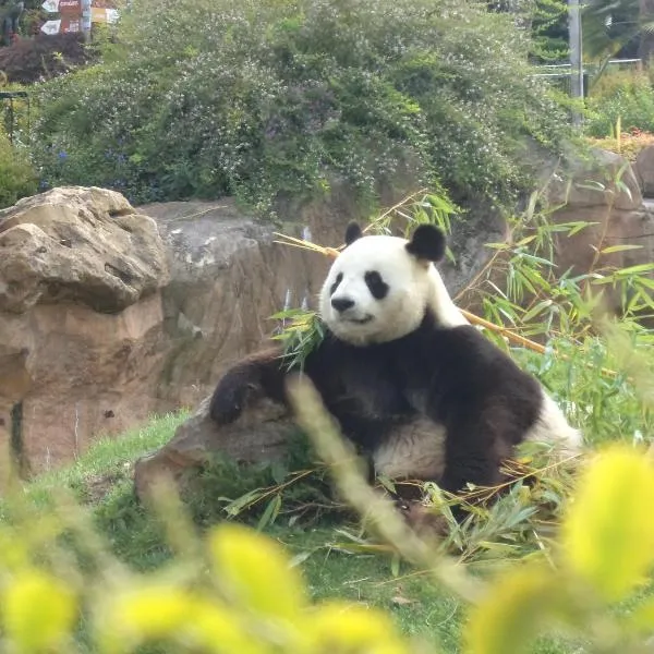 Domaine du Mont des Chênes, hotel in Monthou-sur-Cher
