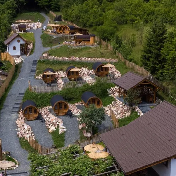 Complex Butoaiele Transilvaniei - Cazare & SPA - Natura - Restaurant, hotel in Curciu