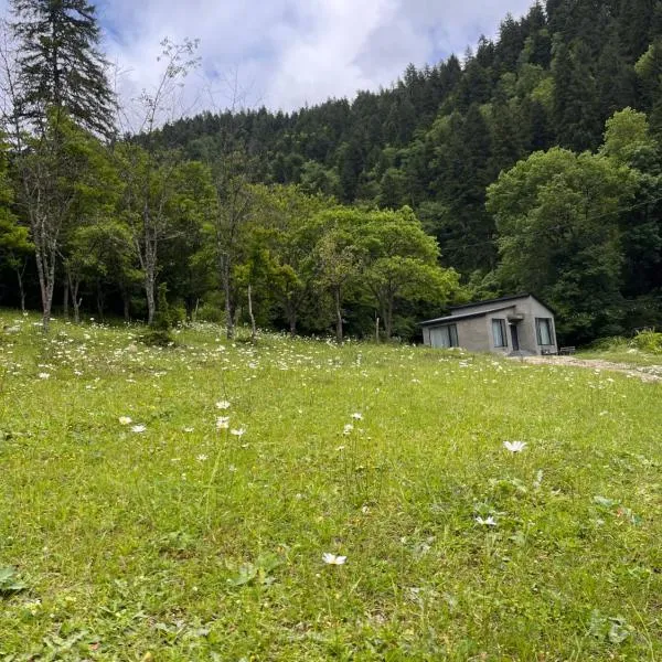 Cozy house in the forest, hotel din K'vabiskhevi