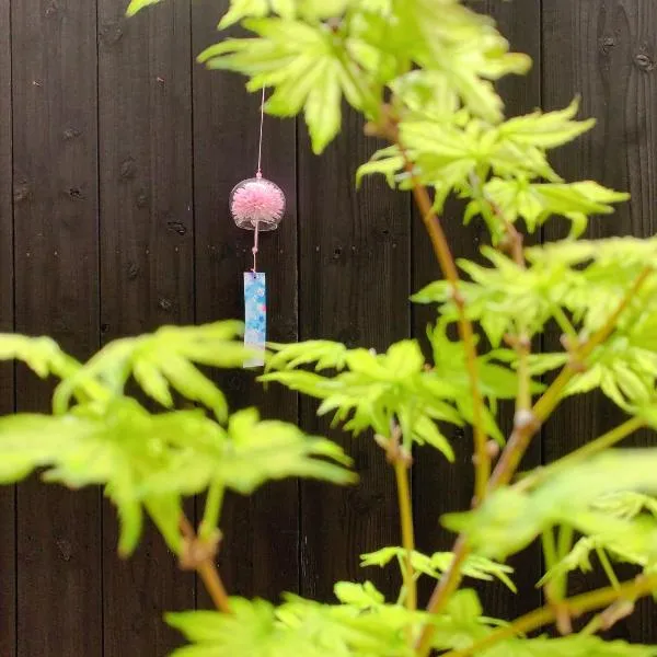 桃夭庵 touyouan momo house kujo 一棟貸切, hotel in Kyoto