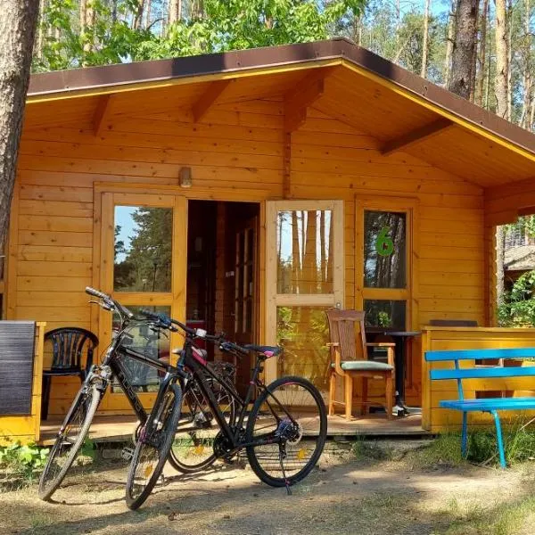 Ośrodek Wypoczynkowy Nad Brdą, hotel en Gostycyn